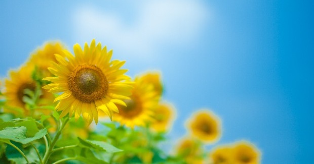 令和６年度　自己評価表公表