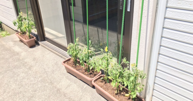 だいたん　だいのじ