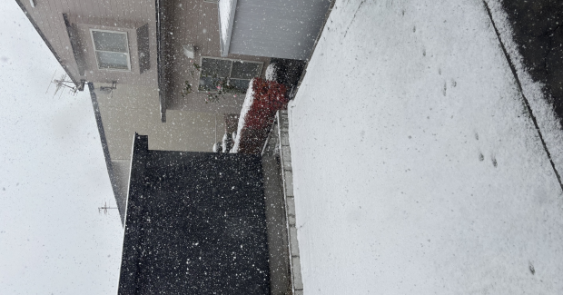 庭に積雪観測！！